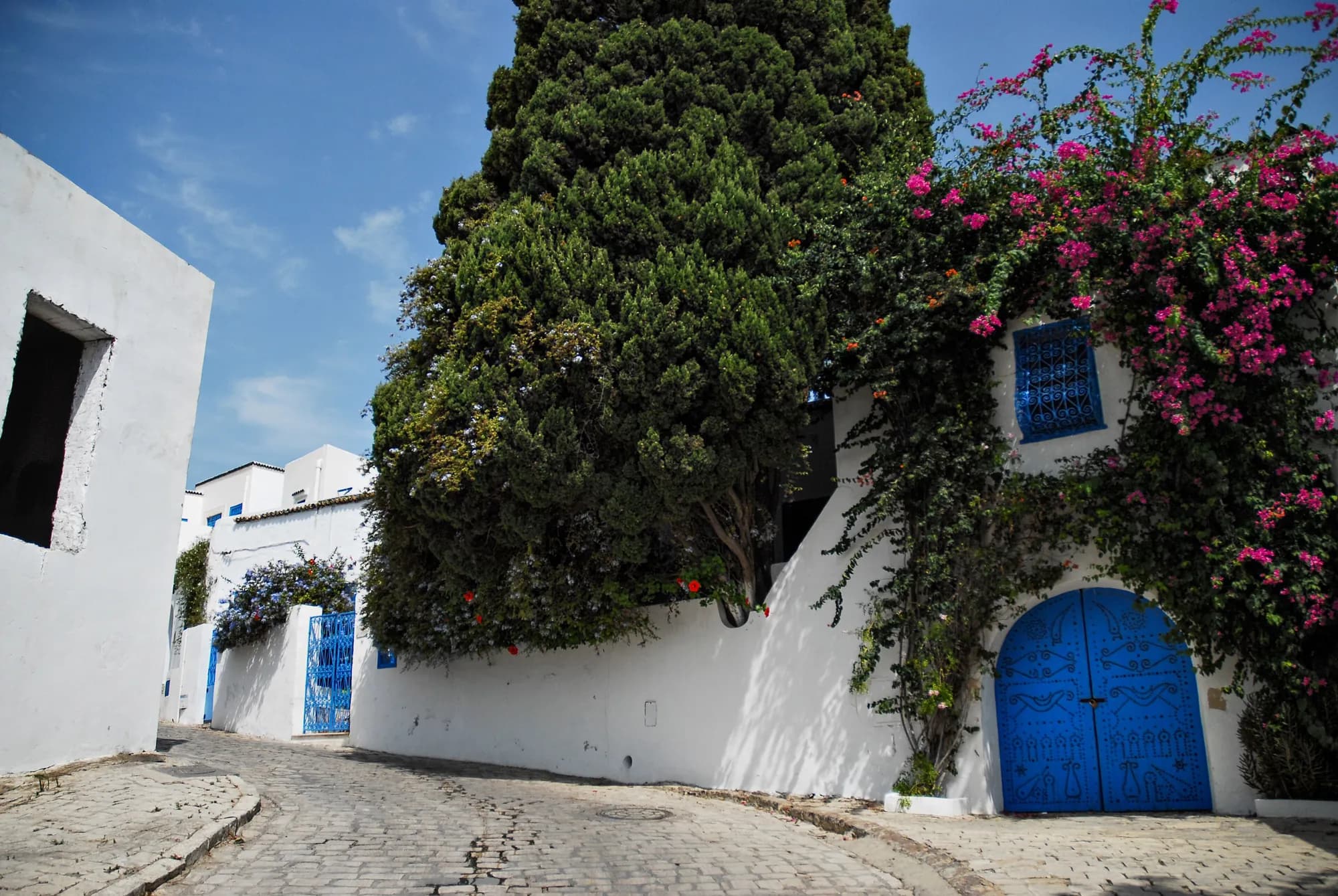 Blue door and bougainvillea on a lane in Sidi Bou Said