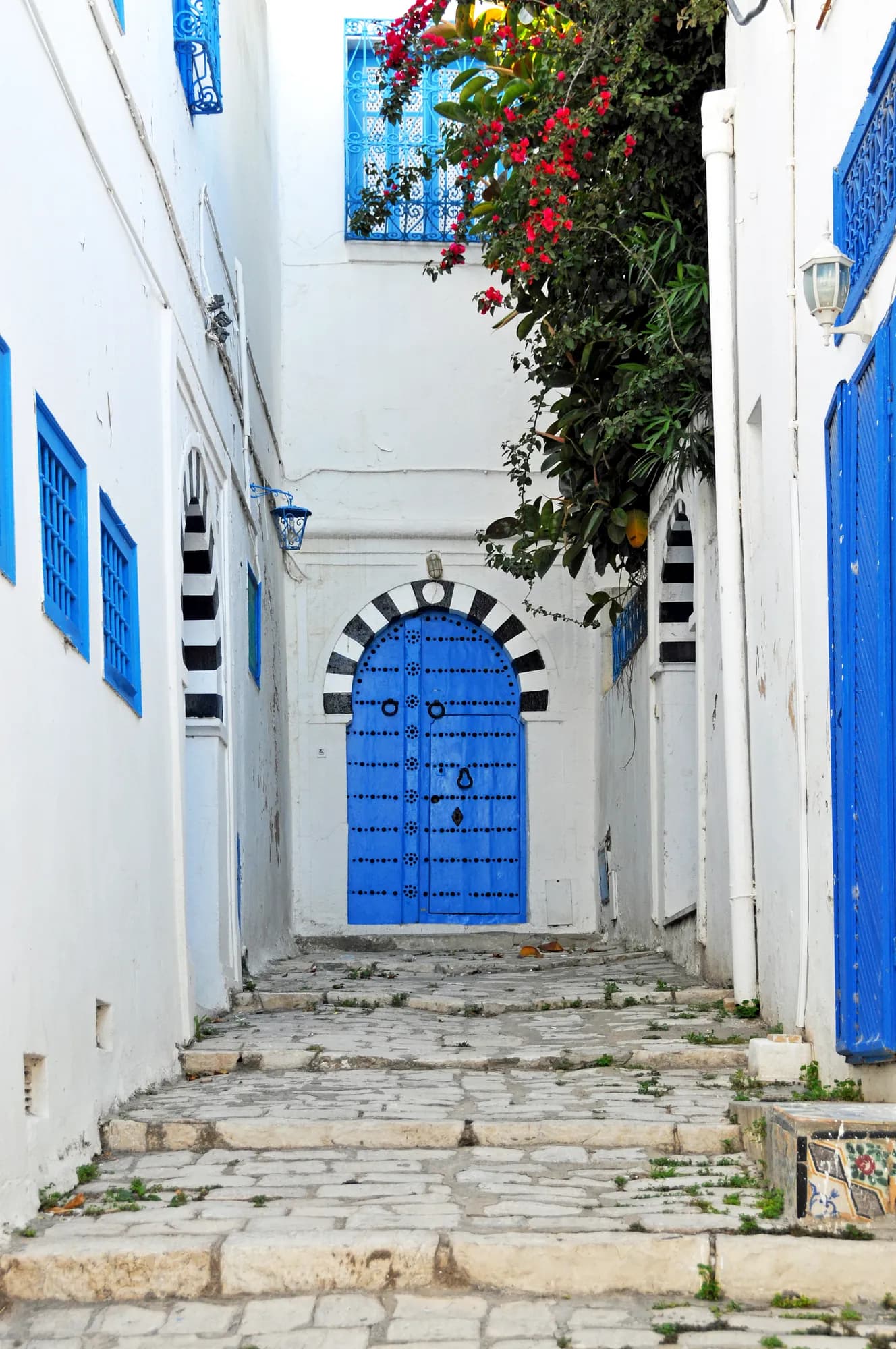 Stepped alley with blue doors in Sidi Bou Said